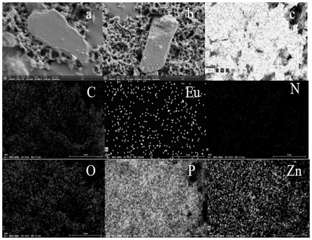 Porphyrin zinc europium phosphorus cluster material as well as preparation method and application thereof