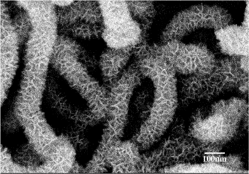 Preparation method of composite electrode material using flap-like manganese dioxide nanocrystal to coat carbon nanotubes