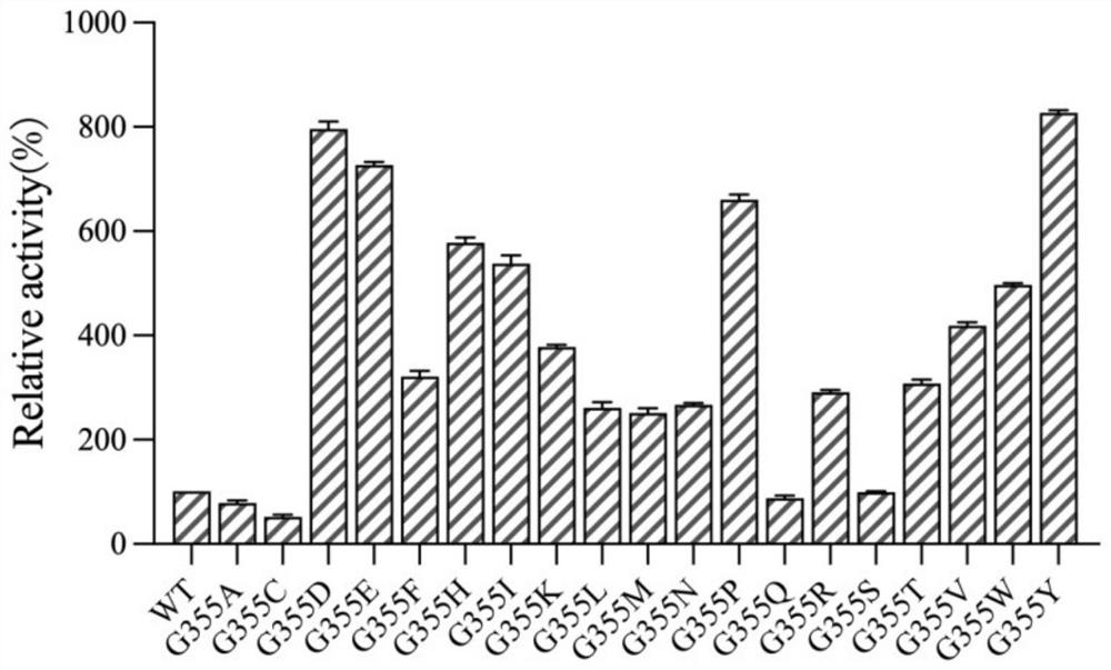 Alpha-galactosidase mutant and application thereof