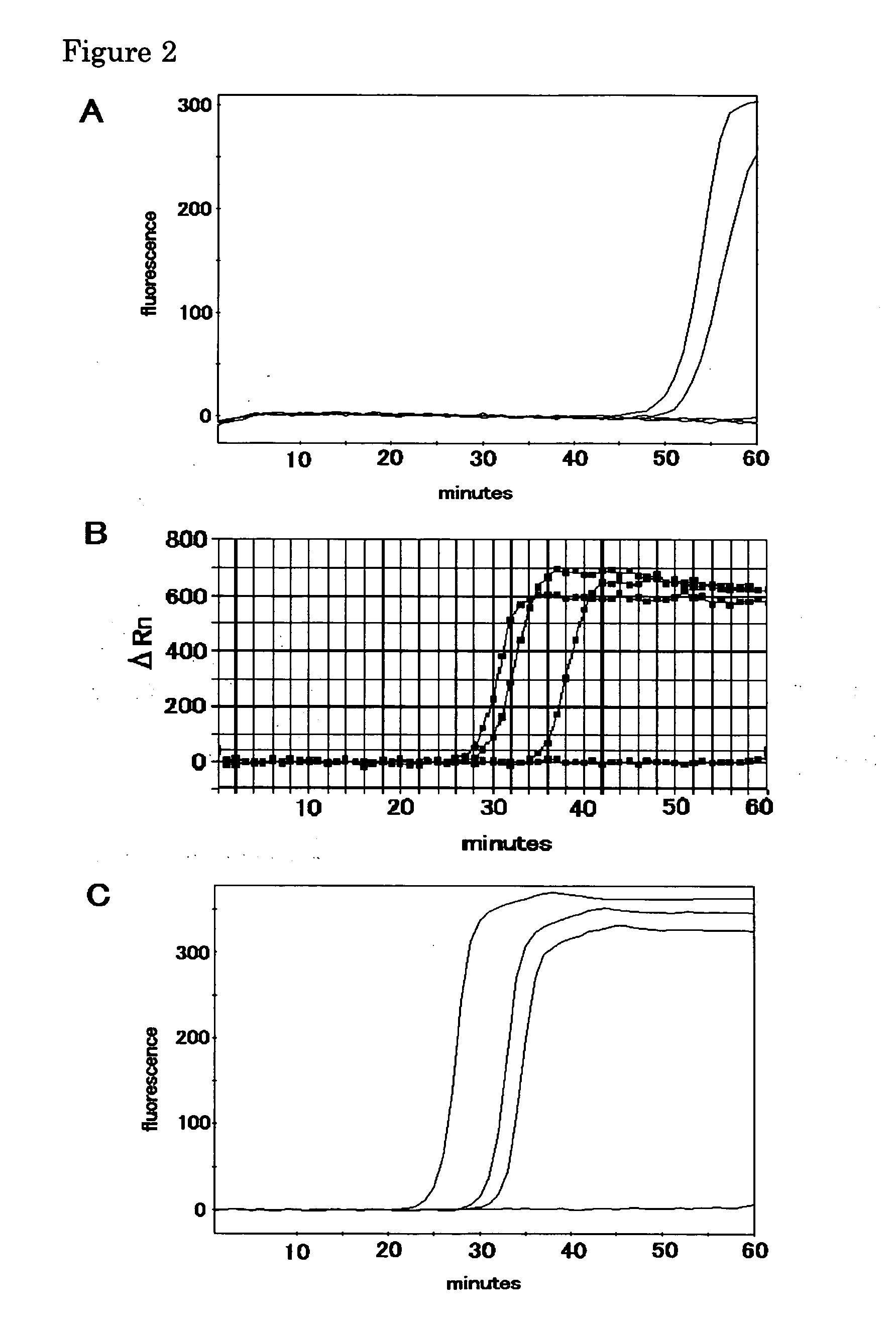 Method of stabilizing reagent for amplifying or detecting nucleic acid and storage method