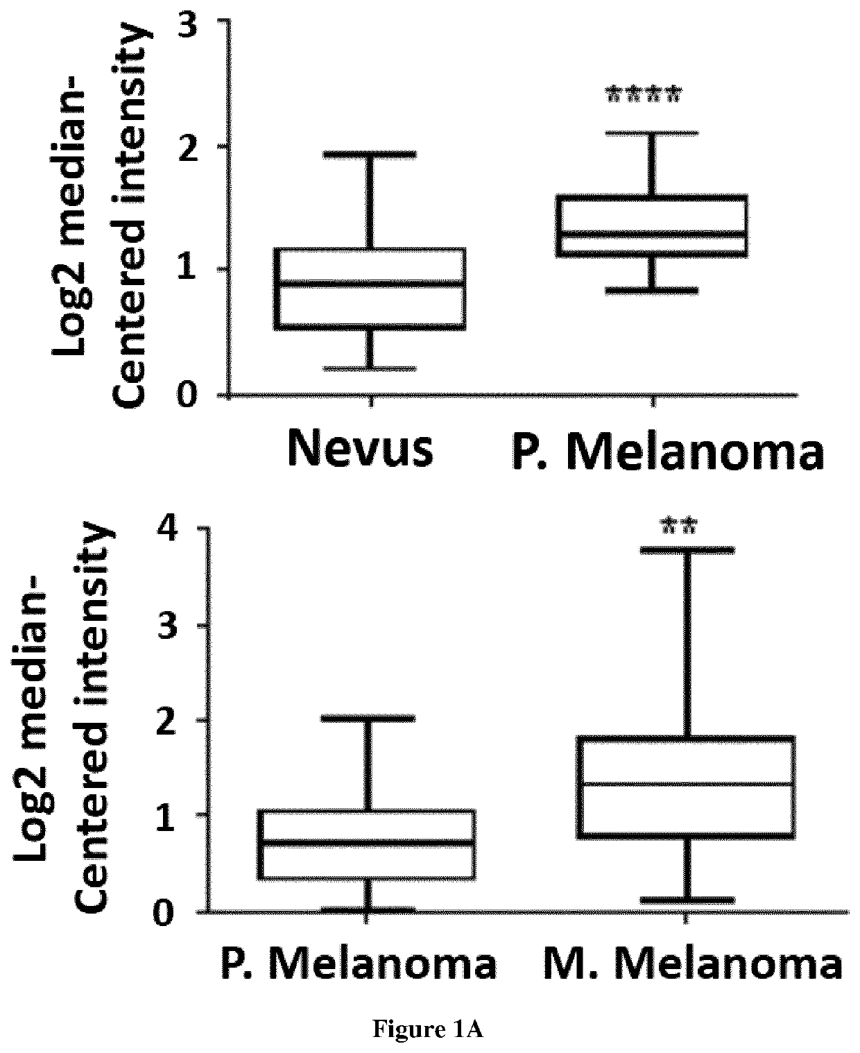 Use of sk1 as biomarker for predicting response to immunecheckpoint inhibitors