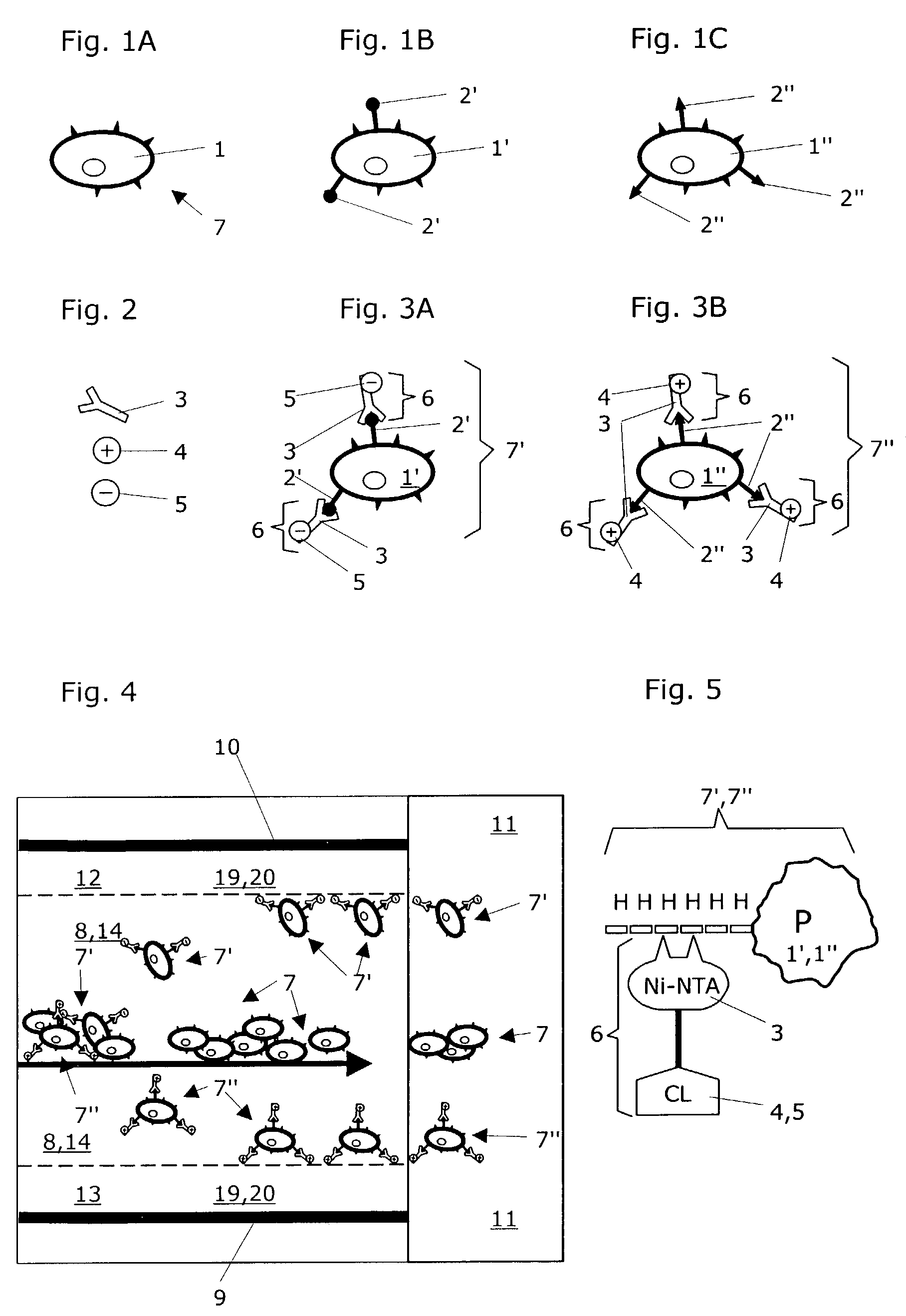 Method for separating particles in free flow electrophoresis