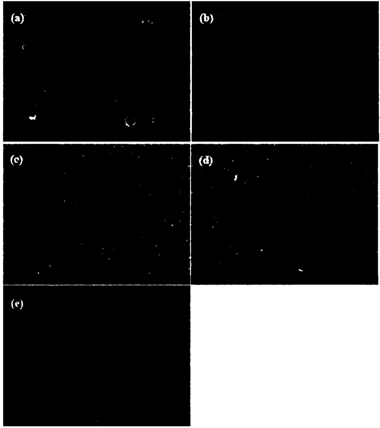 Nanoporous structure composite material and preparation method and alcohol catalytic property application