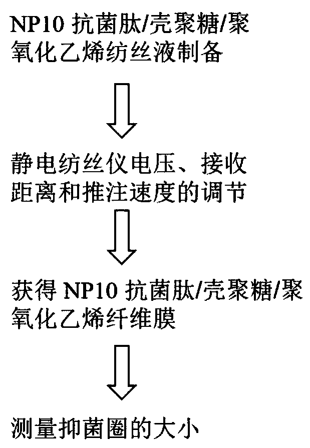 NP10 antibacterial peptide film preparation and preparing method and application thereof