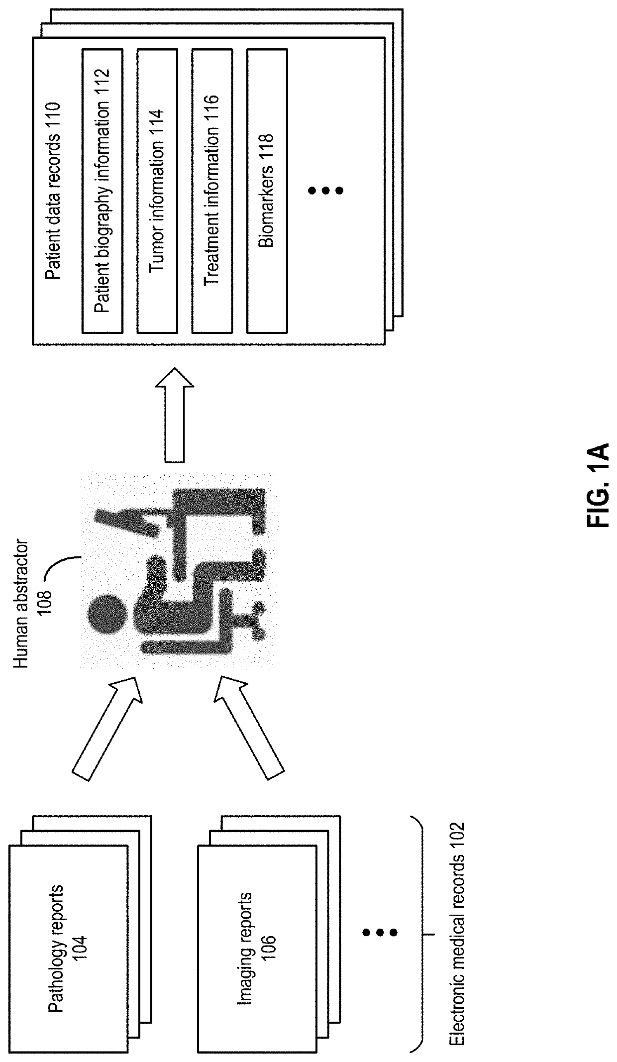 Automated generation of structured patient data record