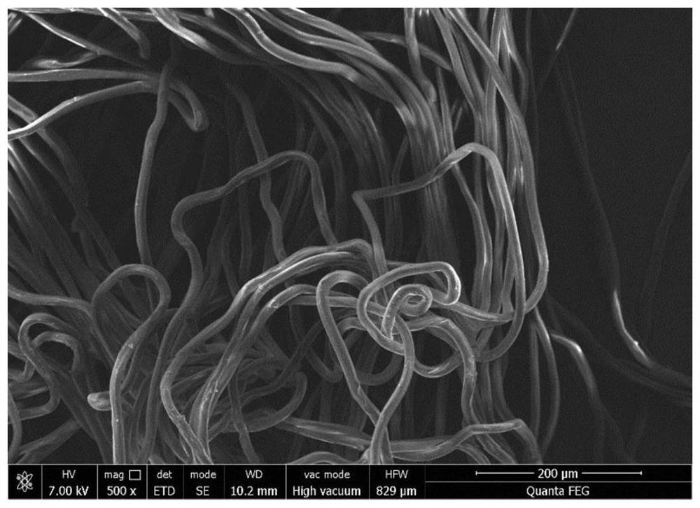 A kind of carbon-based catalyst using biomass cotton and its preparation method and application