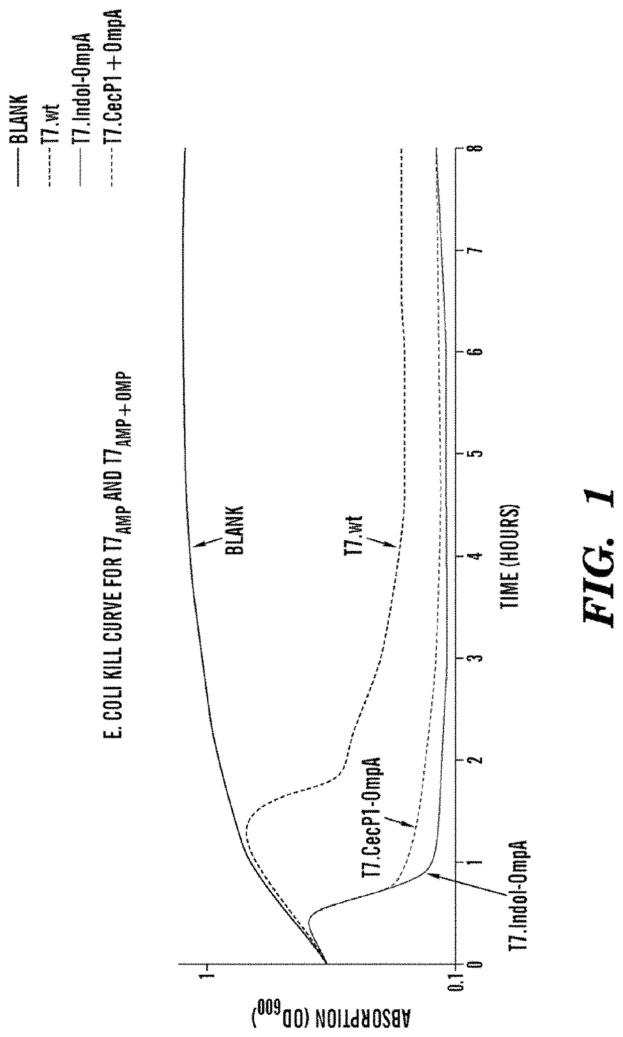 Bacteriophages expressing antimicrobial peptides and uses thereof