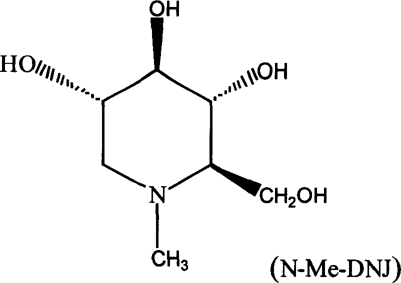 Method for extracting and preparing N-methyl-1-deoxy noijirimycin