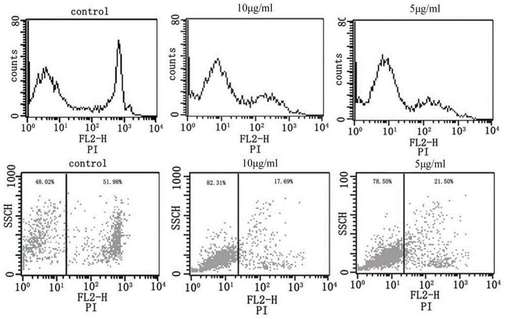 Immunoregulation peptide, and preparation method and application thereof