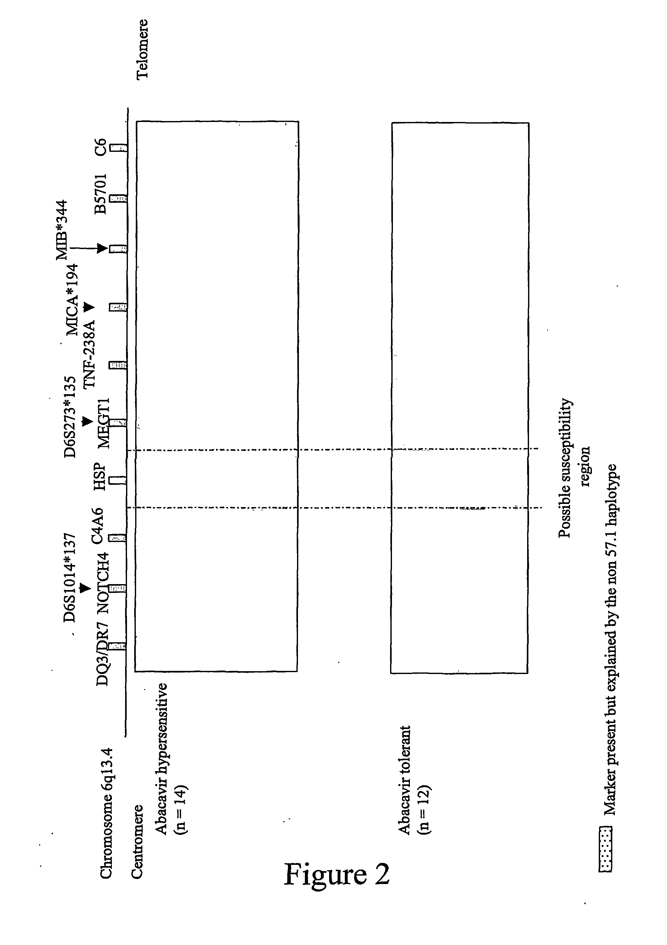 Method for identification and determination of hypersensitivity of a patient to abacavir