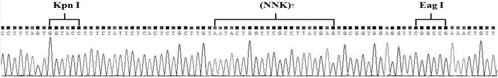 A liver cancer microsphere cell surface specific targeting polypeptide, and a preparing method and applications thereof