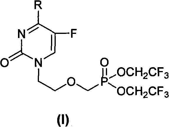 Acyclic nucleoside phosphonate compounds or pharmaceutically acceptable salts thereof, preparation method, application, intermediate compounds thereof, and medicinal composition containing same