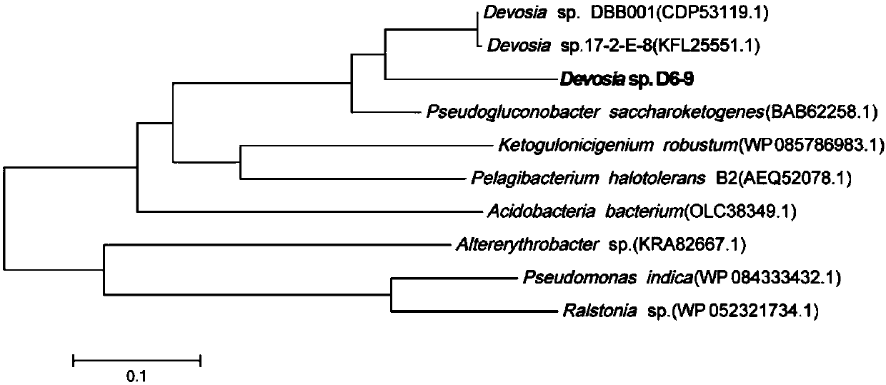 Fusarium toxin removal path related genes ADH, AKR6D1 and AKR13B2 and their application