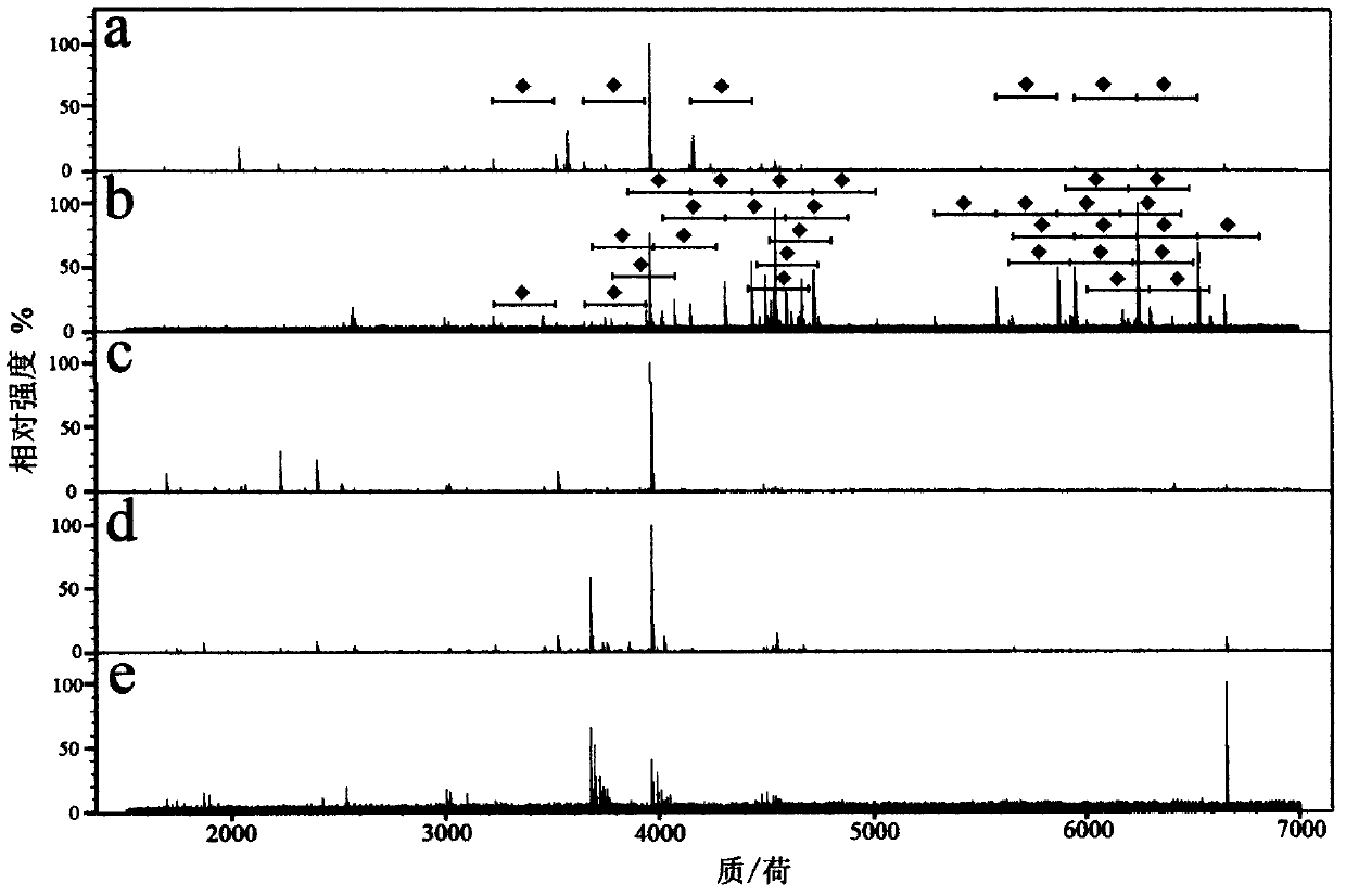 A new material for enriching and separating sialylated glycopeptides and its application