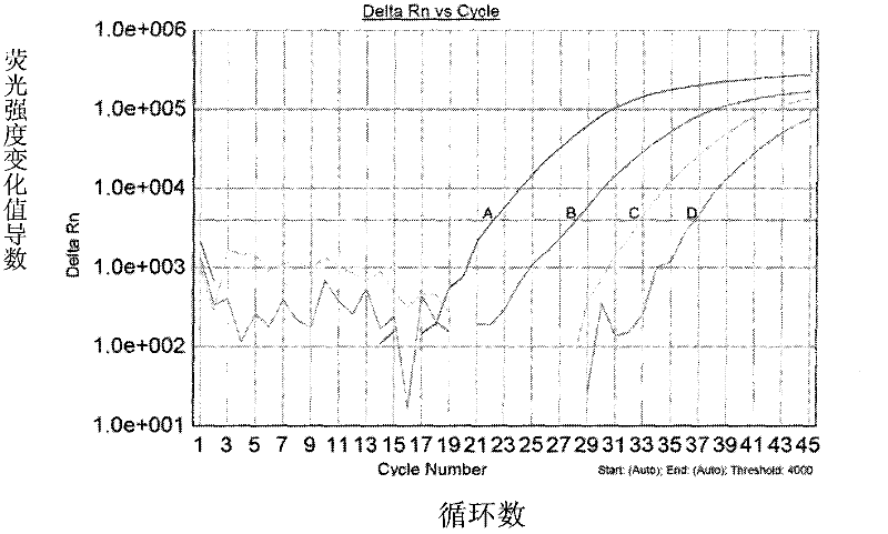 Method for amplifying and genotyping nucleic acid genes of human papilloma virus and assay kit for same