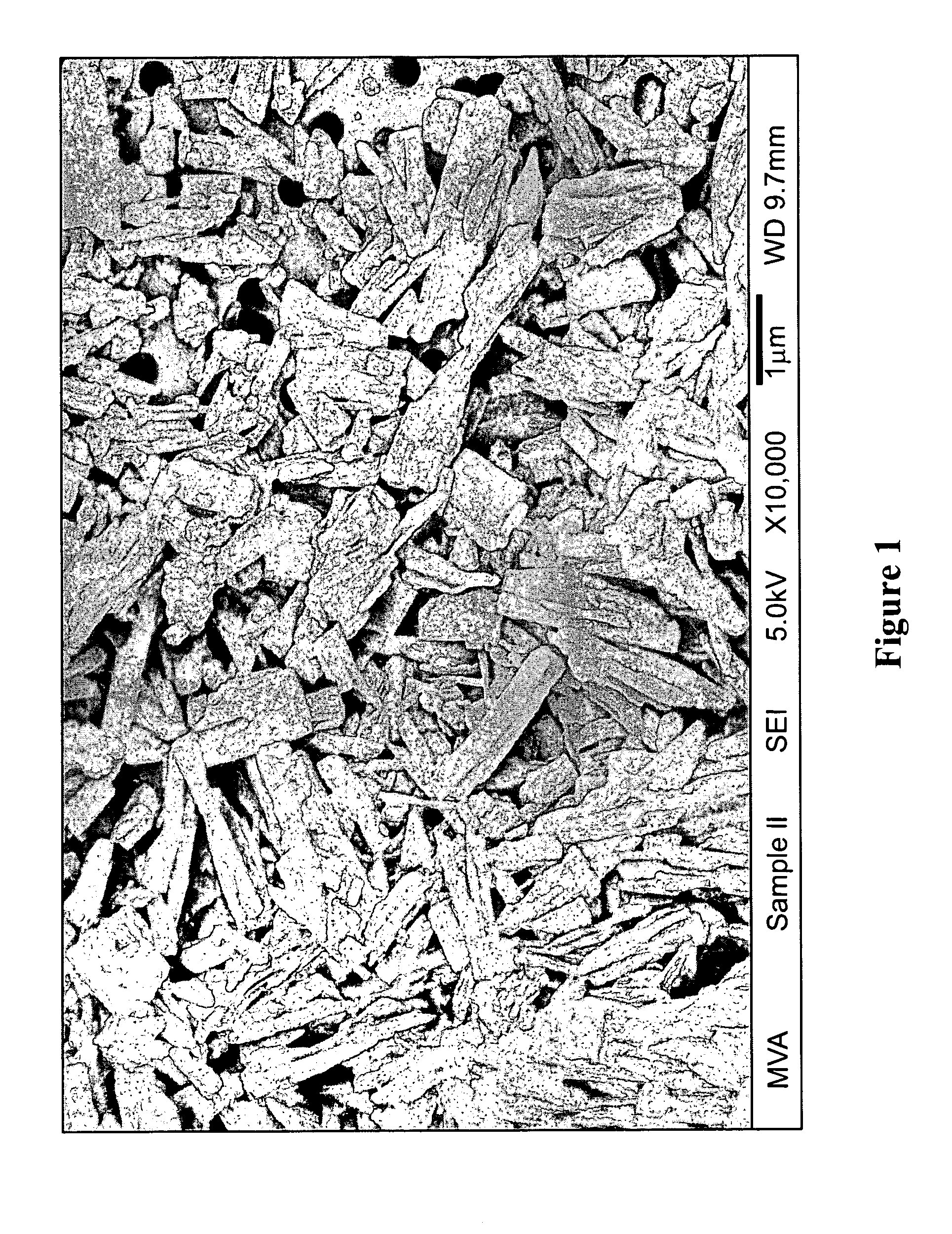 Methods of making and using compositions comprising flavonoids
