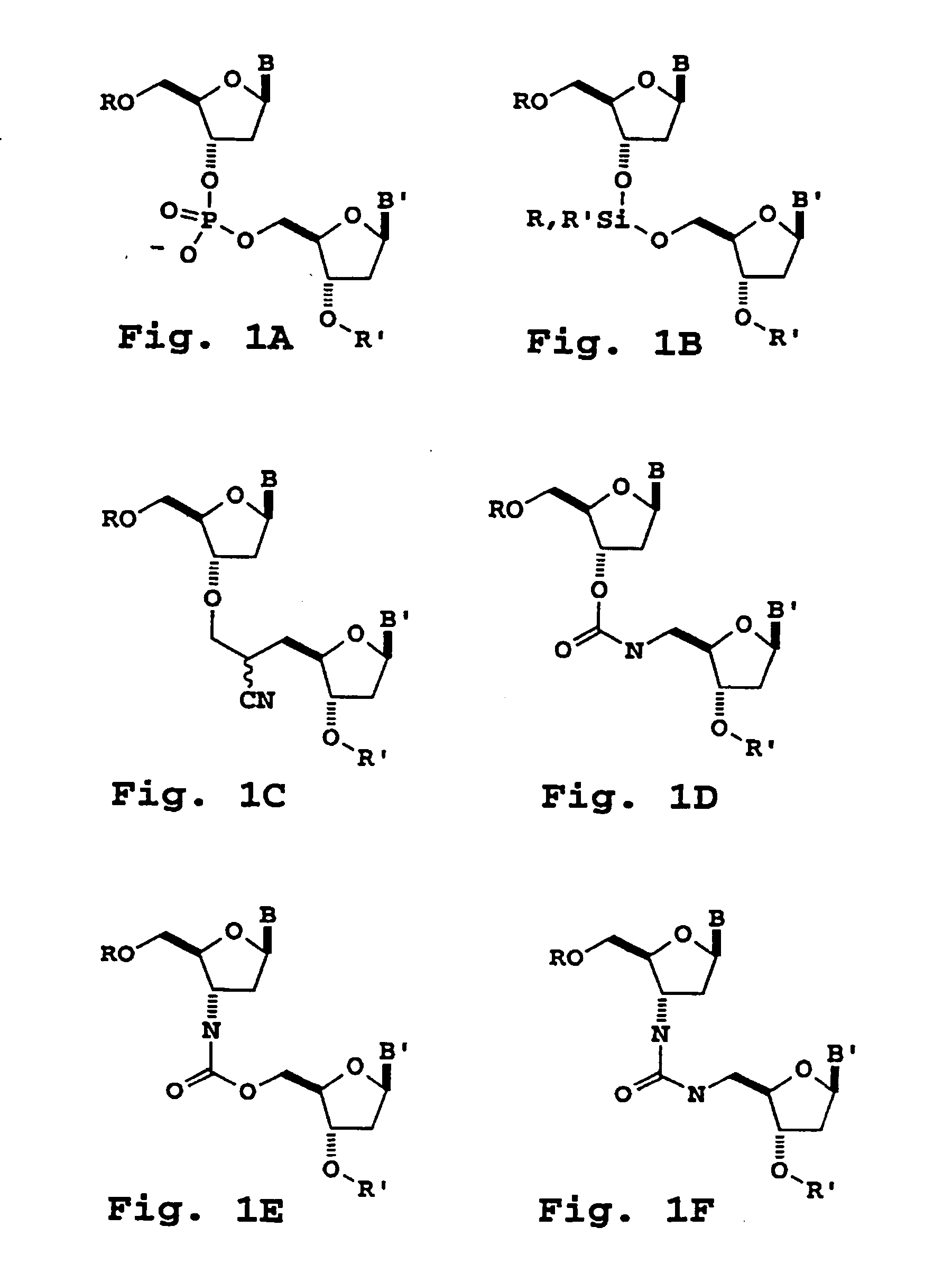Oligonucleotide sizing using cleavable primers