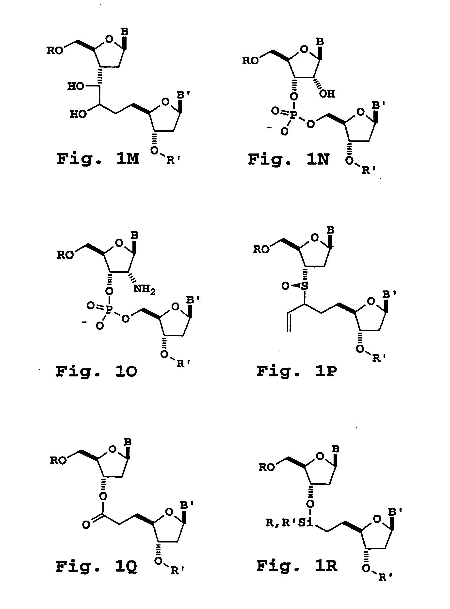 Oligonucleotide sizing using cleavable primers