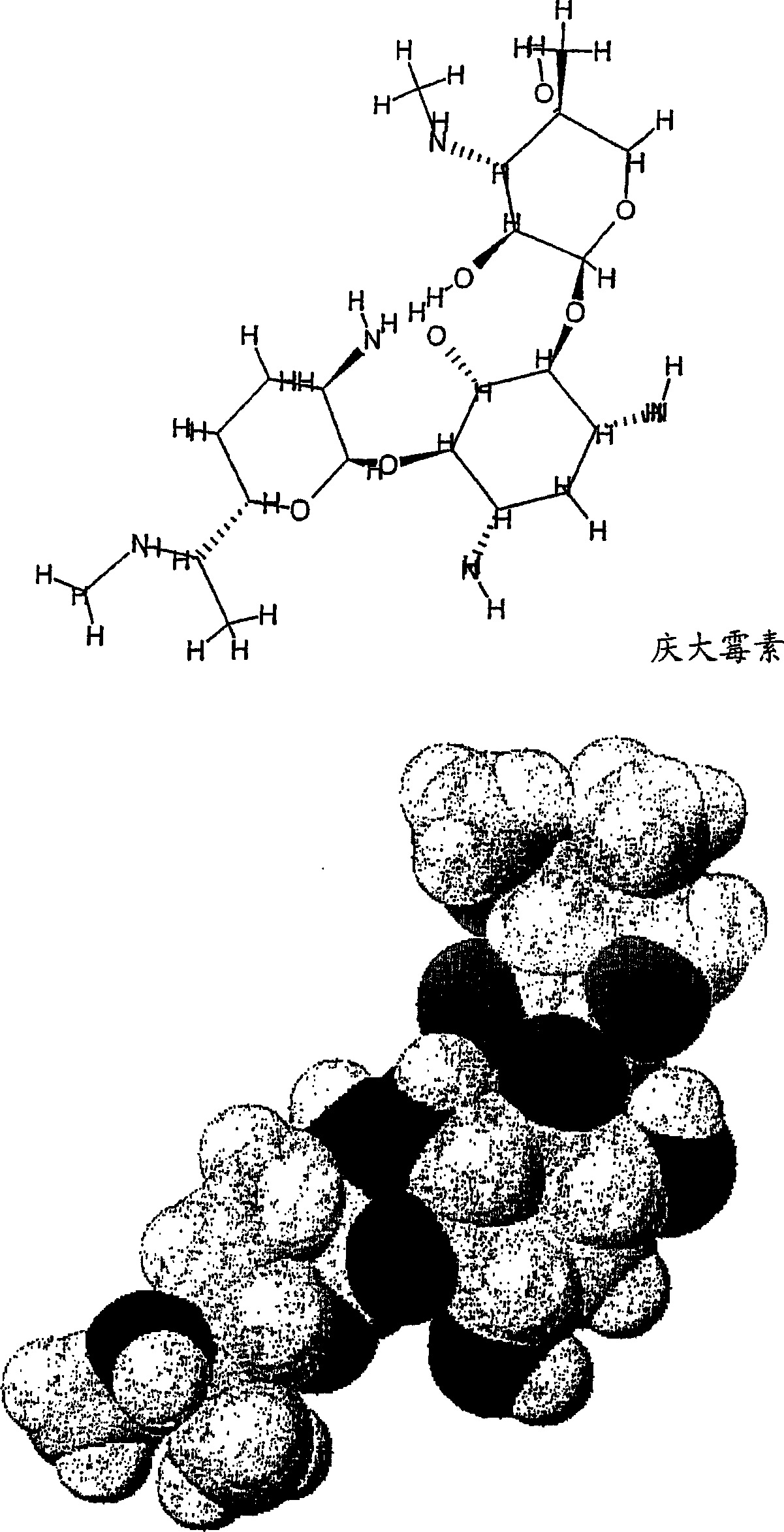 Use of compounds for the prevention of drug-induced cell toxicity