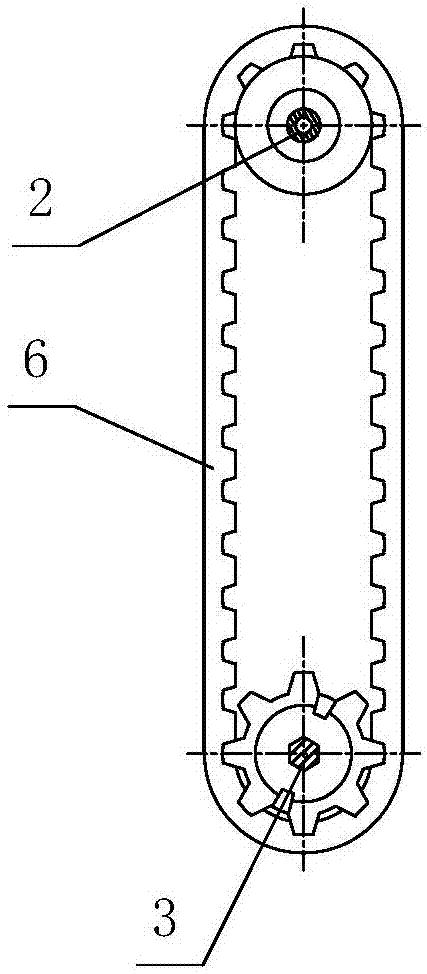 Middle synchronous belt driven seedling delivery mechanism