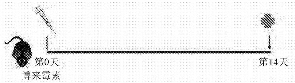 Mesenchymal stromal cell exosome -treated monocytes and uses thereof