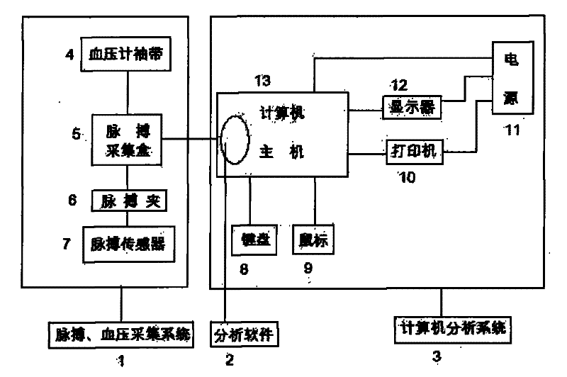 Radial artery pulse wave based cardiovascular function assessment system