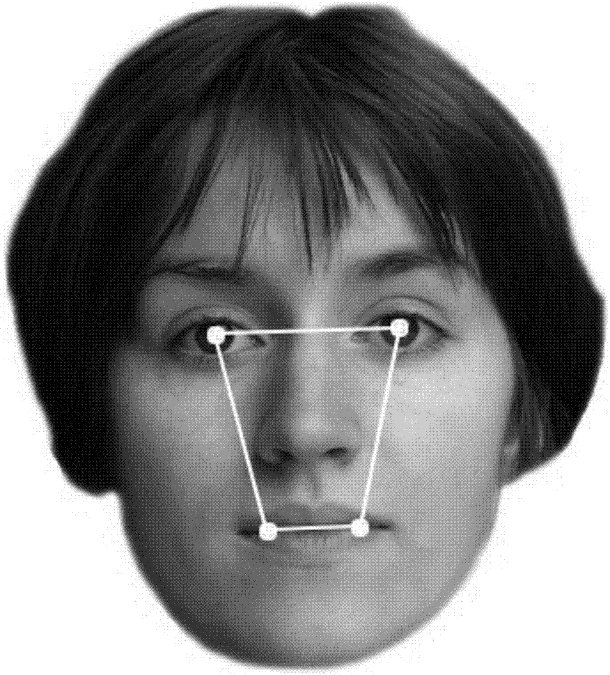 Structured modeling based face key point positioning method