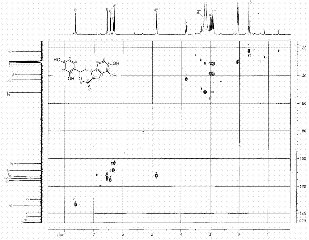 Chalcone compounds and preparation method and application thereof.