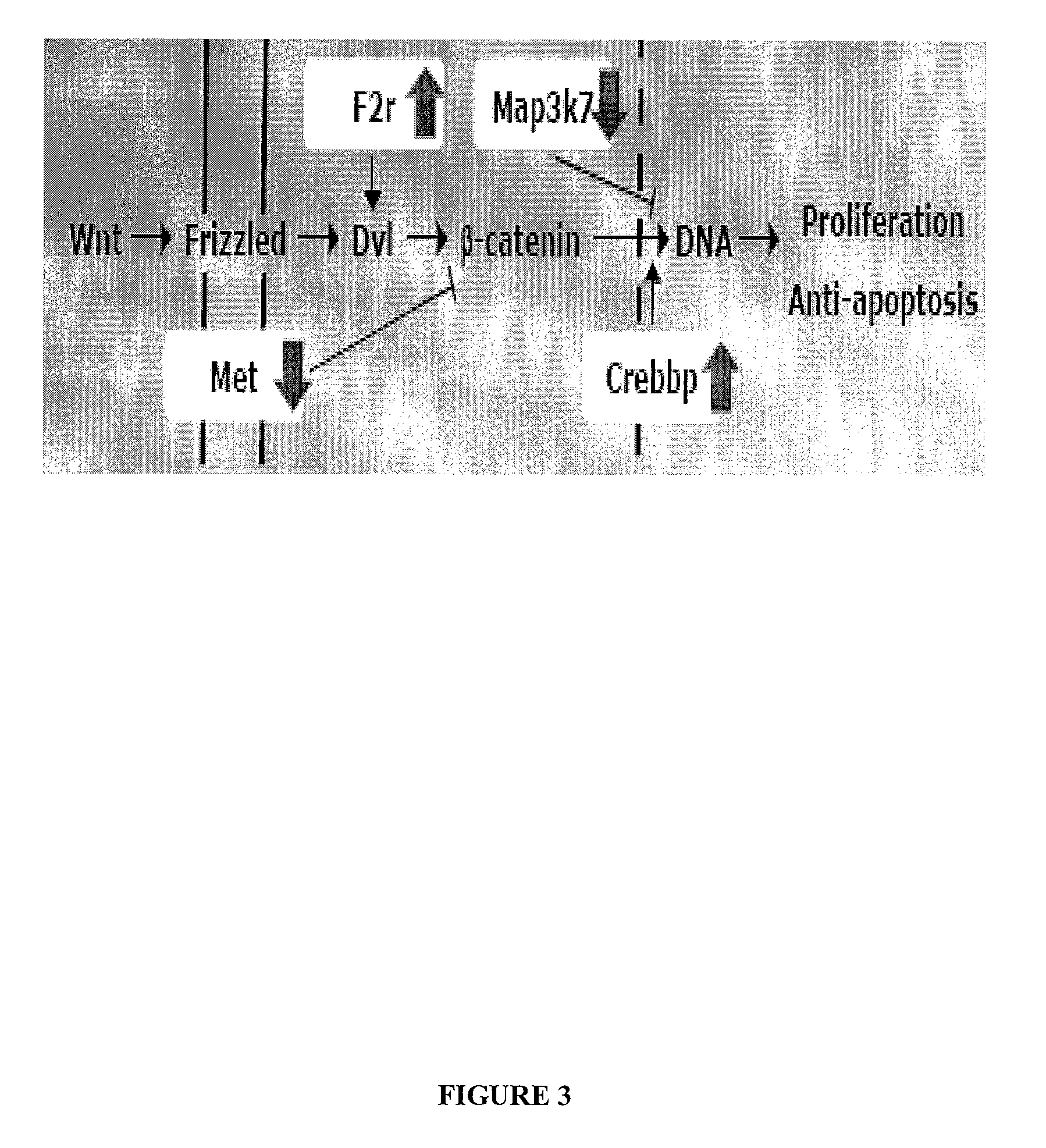 Compositions and methods for preventing and monitoring disease