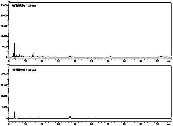 Method for detecting antibiotic residue in honey based on rapid classification extraction technology