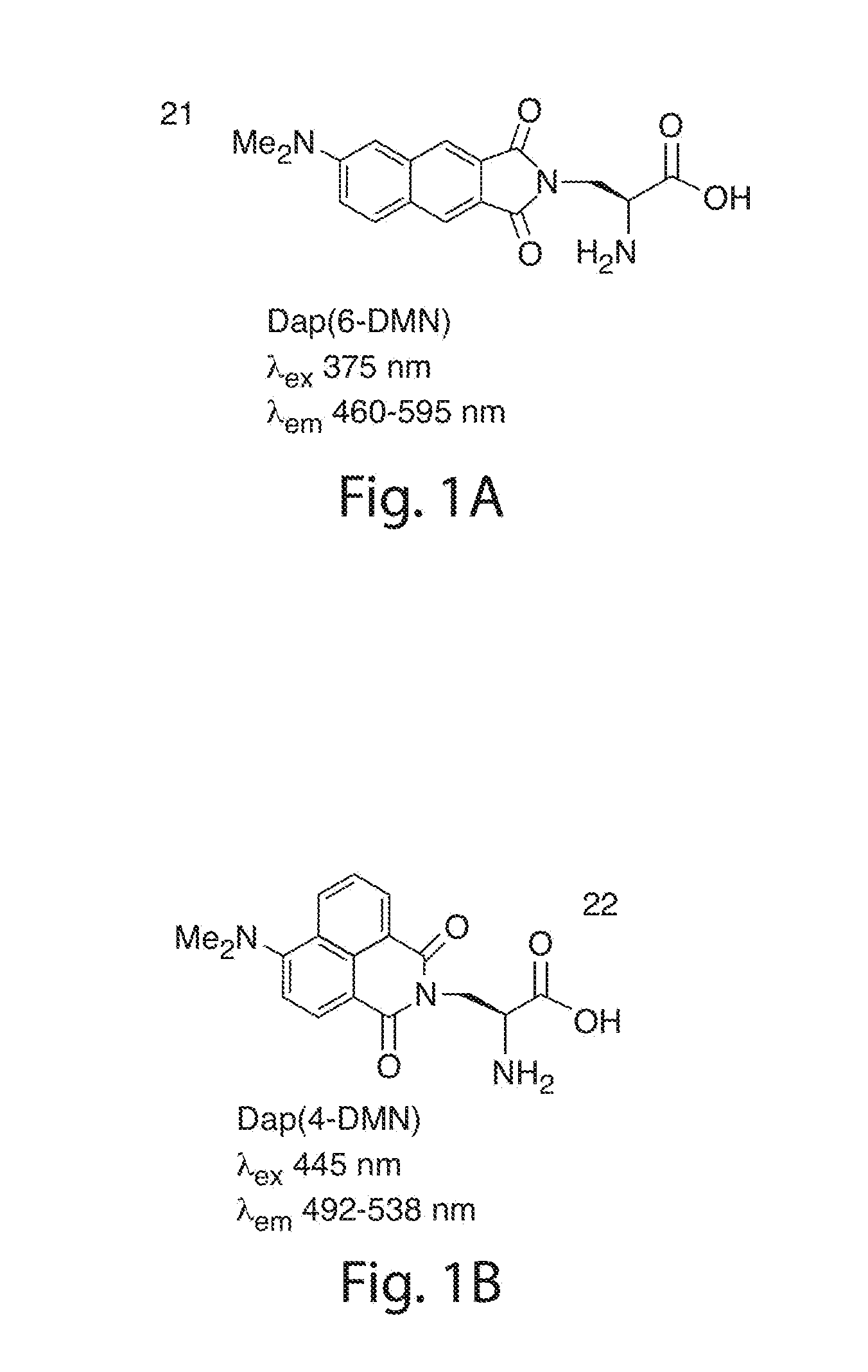 Environmentally sensitive fluorophores