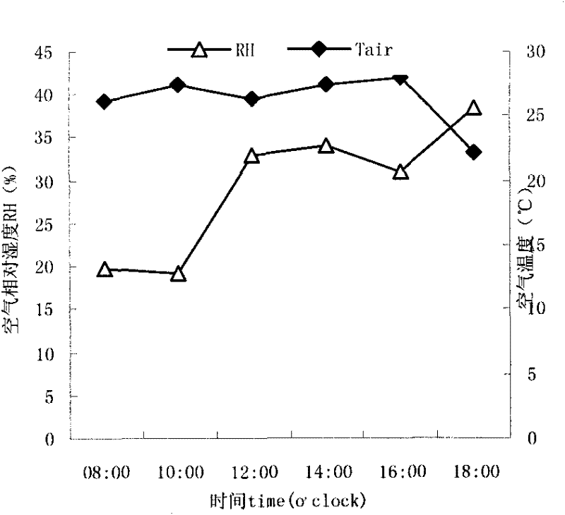 Method for improving photosynthetic capacity of tall fescue by adopting saline soil filled waste crumb rubber