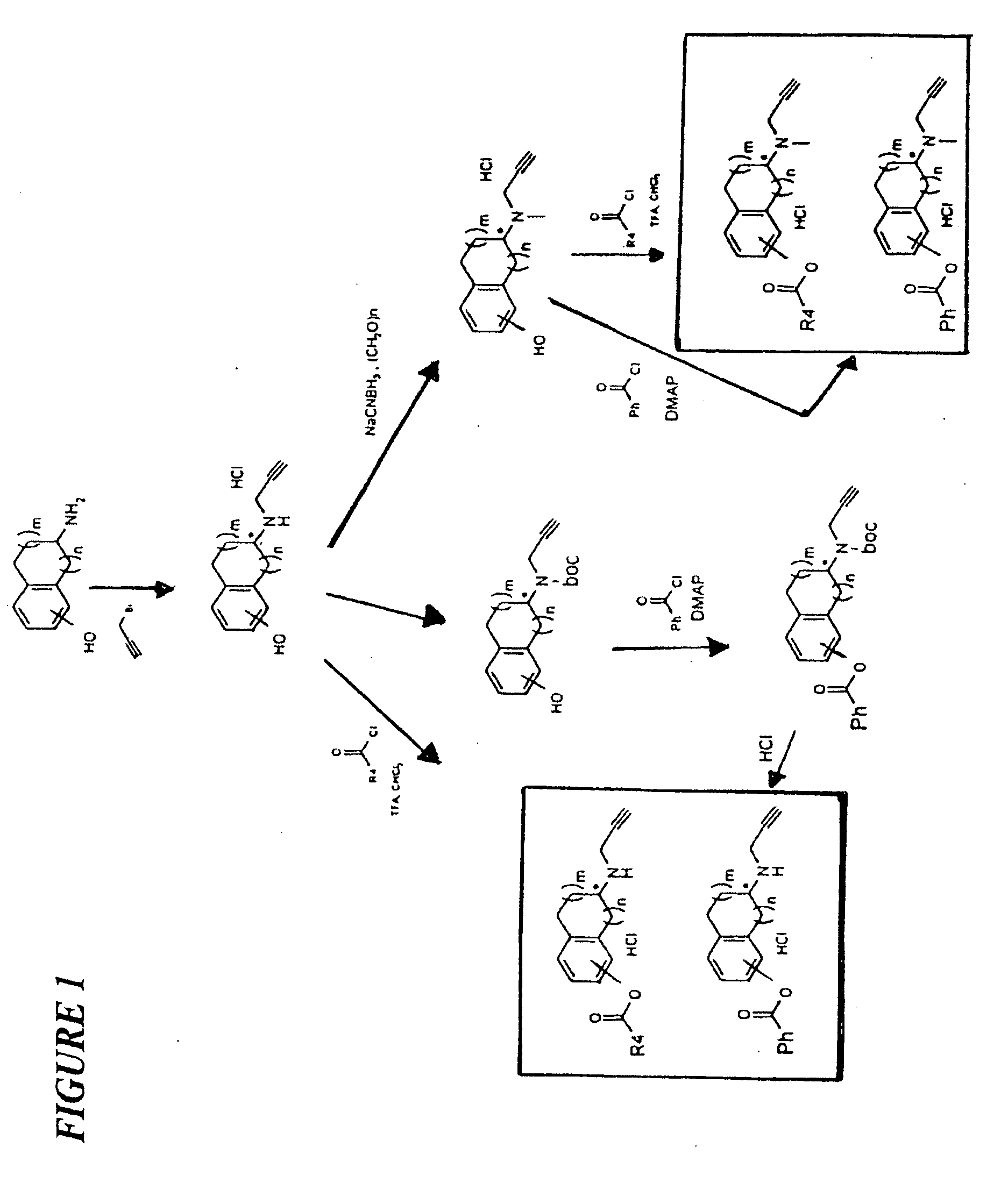 Propargylamino indan derivatives and propargylamino tetralin derivatives as brain-selective mao inhibitors