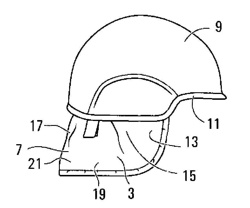 Head and neck protector