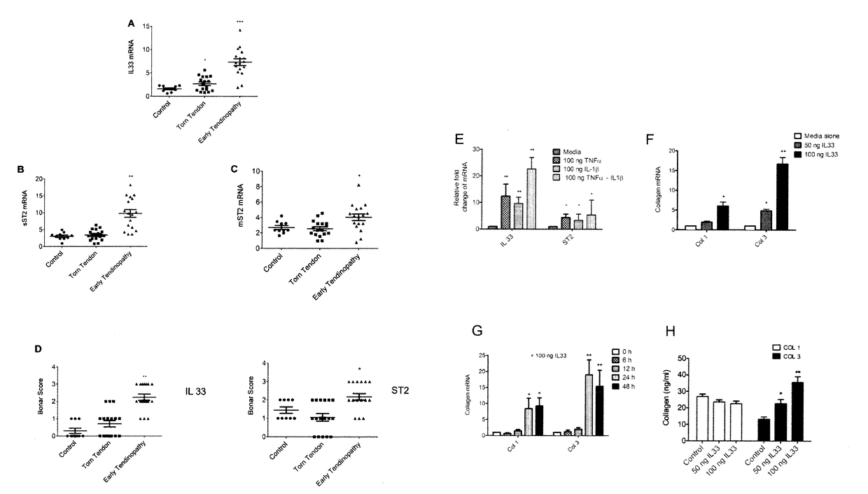 Biocompatible implants for use in tendon therapy