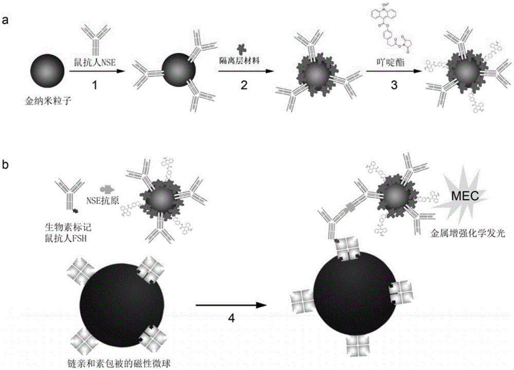 Double-enhanced chemiluminescence immunoassay based on metal-enhanced luminescence and nanoparticle labeling amplification