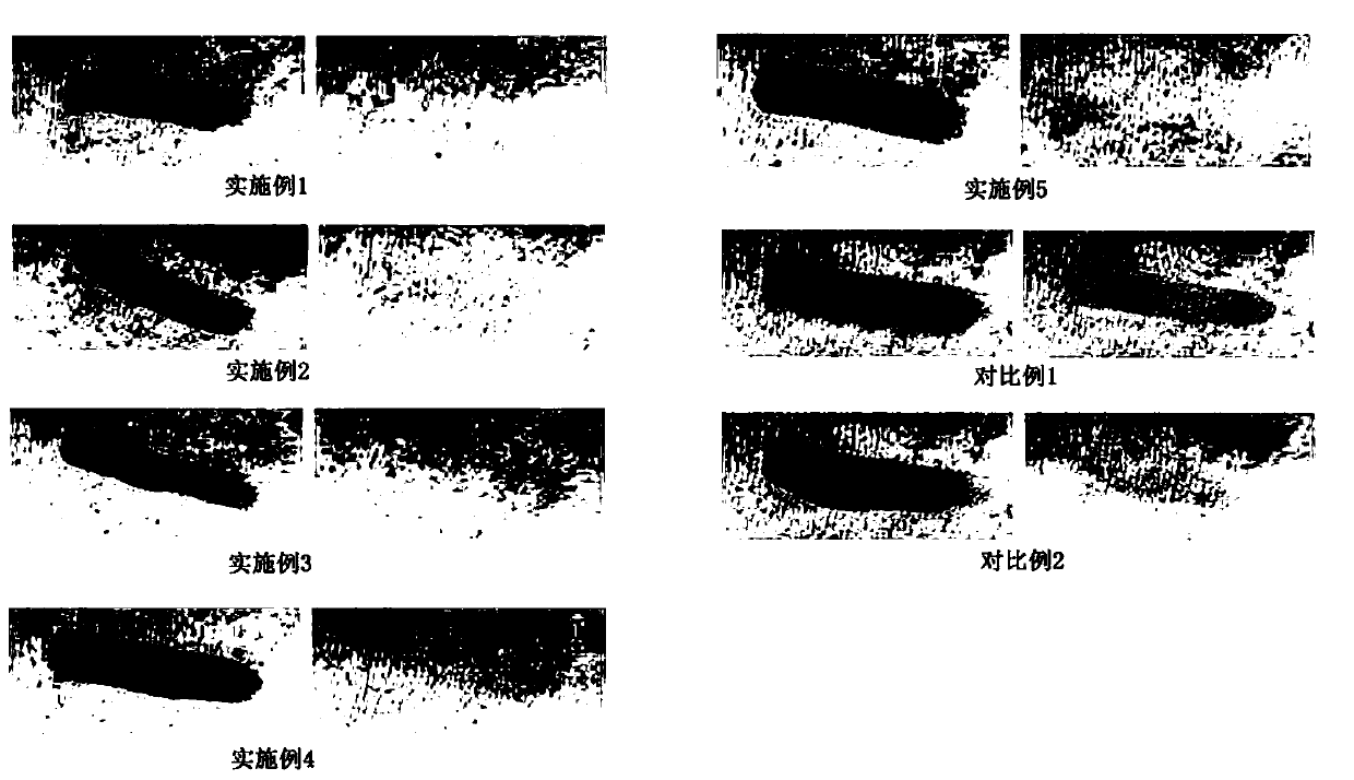 Ultra-fine particle cleaning mud facial cleanser and preparation method thereof