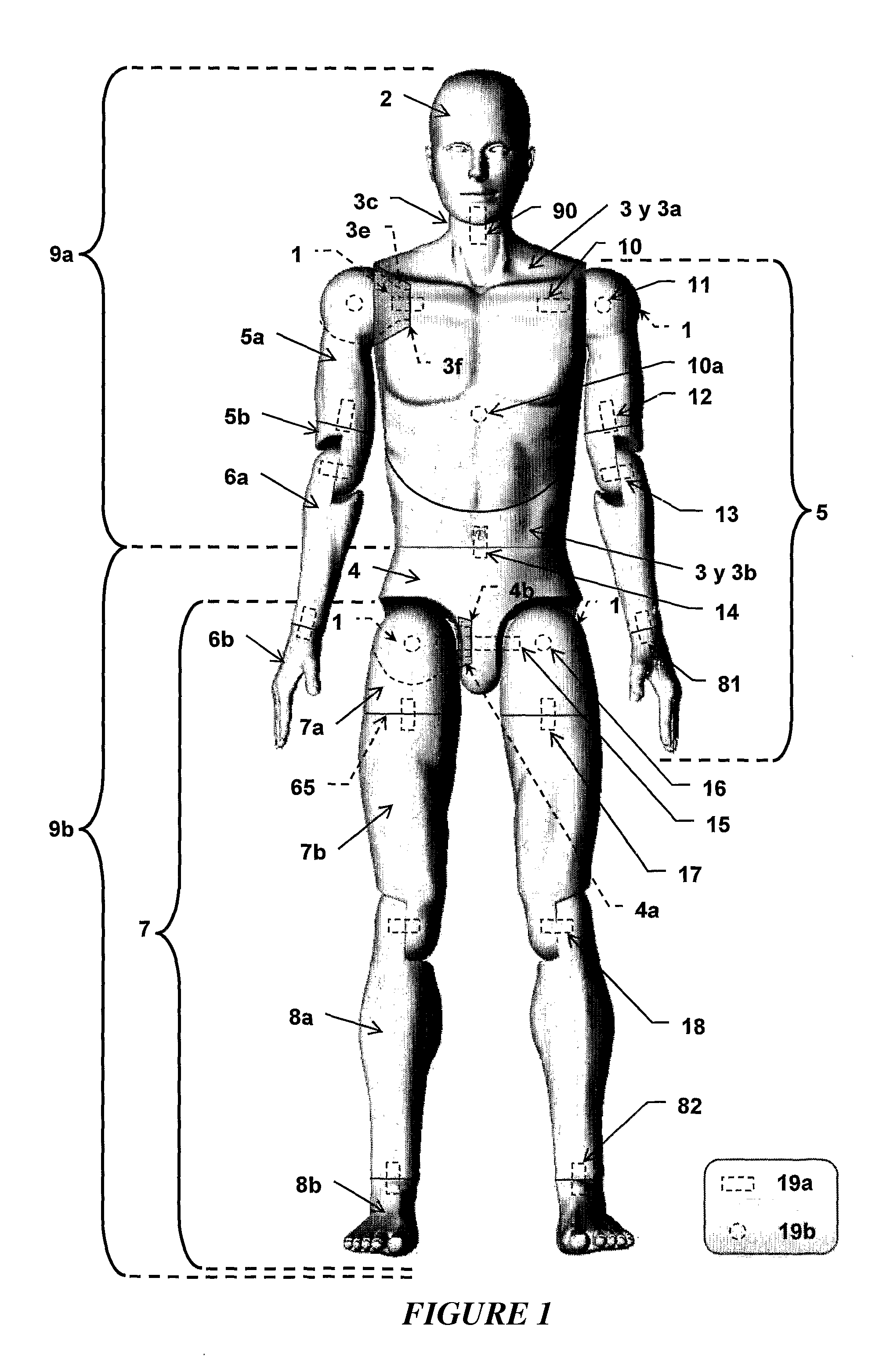 Articulated mannequin with various assembly mechanisms