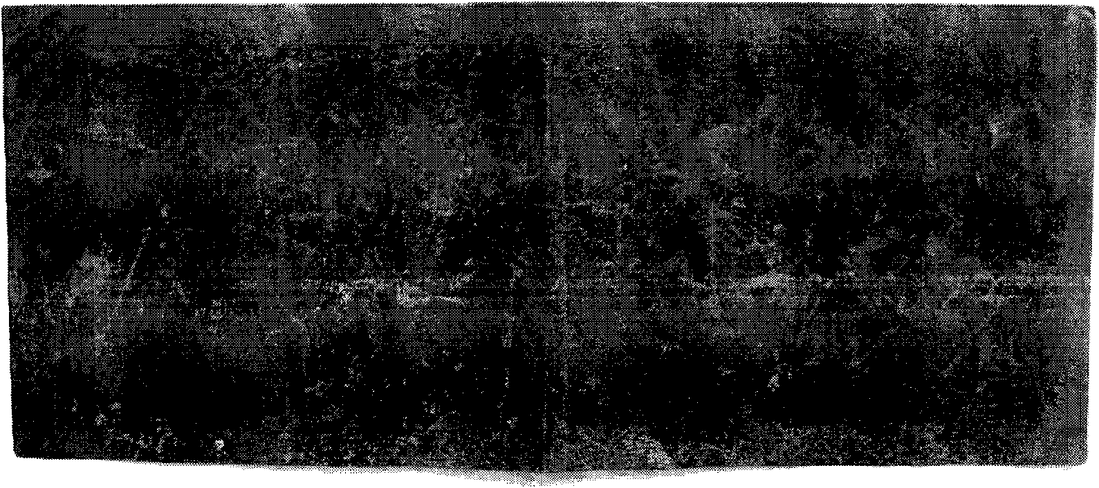 Method for inspecting paper currency