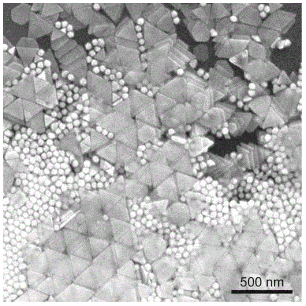 Gold nanoparticle triangular plate preparing method and method for preparing gold nanoparticle discs and gold nanoparticle hexagonal pieces on basis of gold nanoparticle triangular plate preparing method