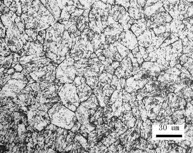 Metallographic corrosion method for martensitic precipitation hardening stainless steel crystal boundary