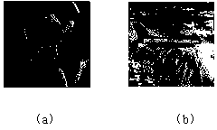 Color image blind-watermarking method based on ternary coding