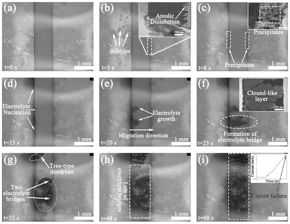 Electrochemical migration test method and device for power packaging