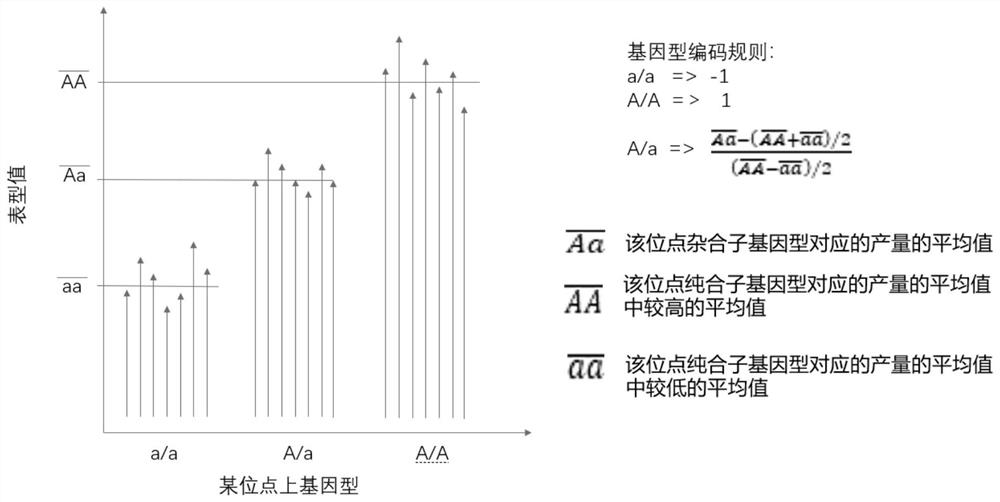 A whole genome prediction method and device based on rrblup