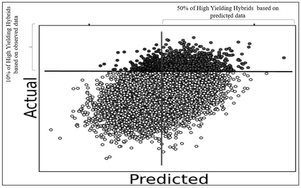 A whole genome prediction method and device based on rrblup