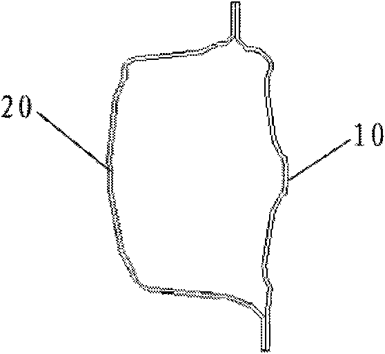 A front longitudinal beam outer panel structure