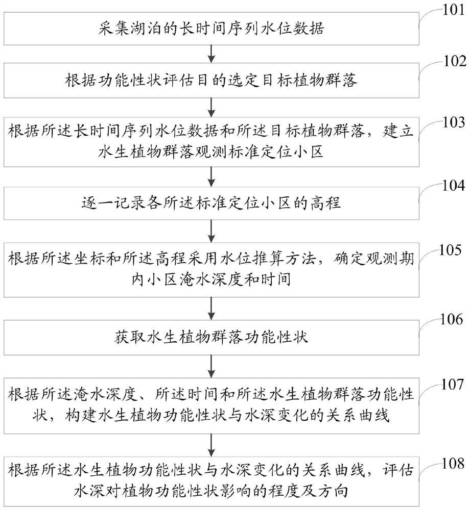 Method and system for evaluating influence of lake water level change on functional traits of aquatic plants