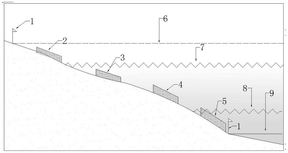 Method and system for evaluating influence of lake water level change on functional traits of aquatic plants