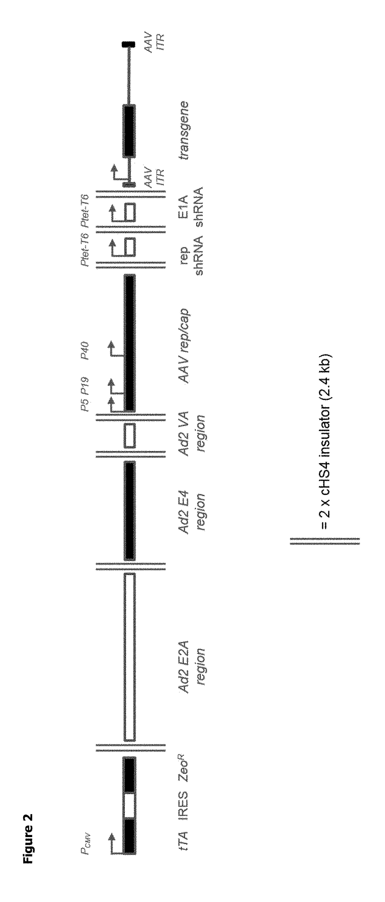 Methods for Adeno-Associated Viral Vector Production