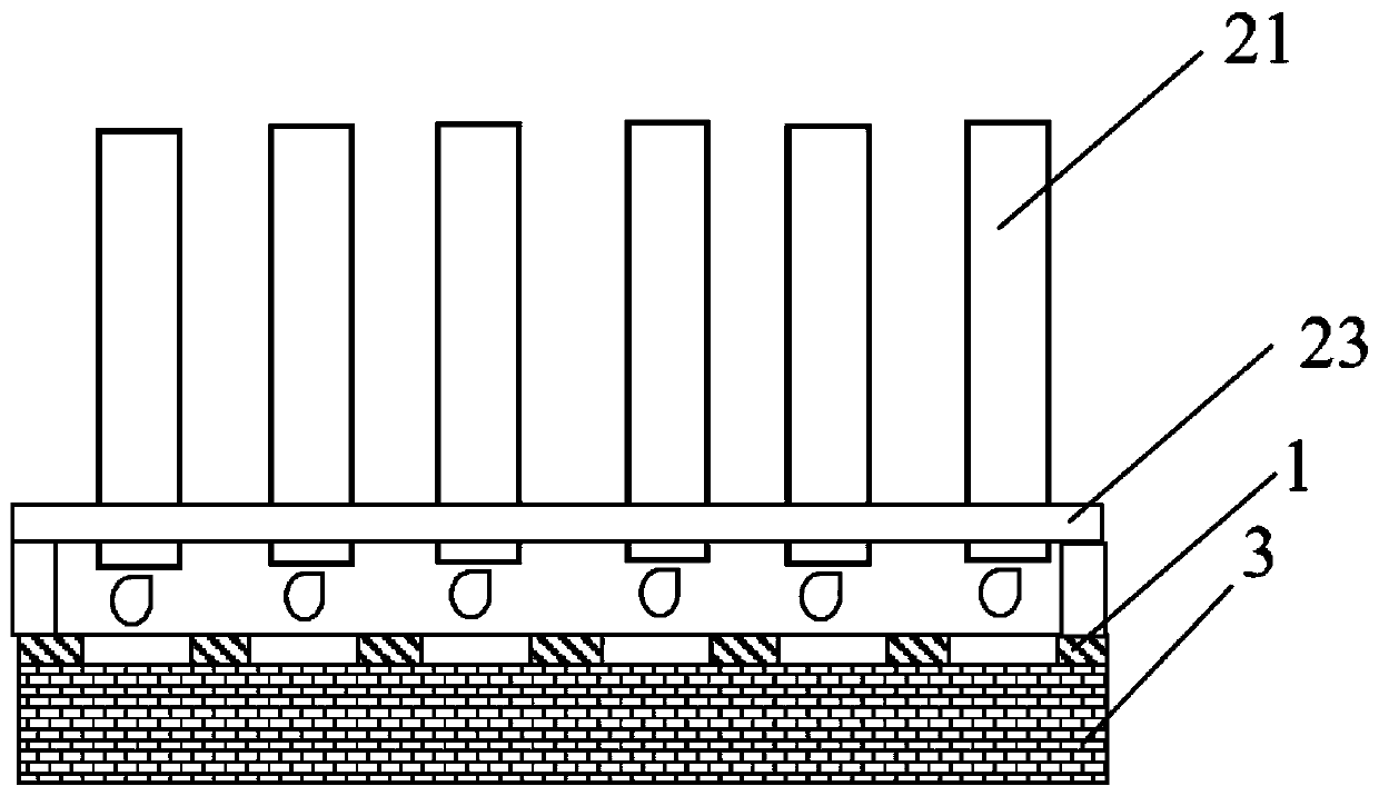 A liquid adding device for immunoblotting